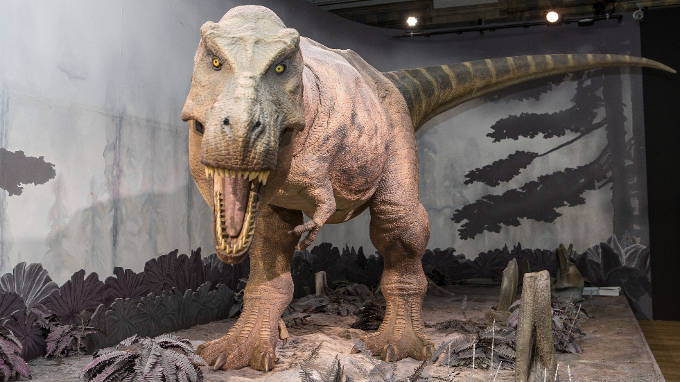 UK permanent Natural History Museum dinosaur displays